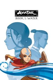 Avatar: Mjeshtri i fundit i ajrit: Sezoni 1 (Avatar: The Last Airbender: Season 1) Dubluar në Shqip